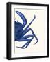 Contrasting Crab in Navy Blue b-Fab Funky-Framed Art Print