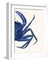 Contrasting Crab in Navy Blue b-Fab Funky-Framed Art Print