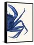 Contrasting Crab in Navy Blue b-Fab Funky-Framed Stretched Canvas