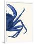 Contrasting Crab in Navy Blue b-Fab Funky-Framed Art Print