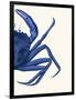 Contrasting Crab in Navy Blue b-Fab Funky-Framed Art Print