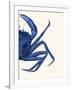 Contrasting Crab in Navy Blue b-Fab Funky-Framed Art Print