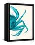 Contrasting Crab in Turquoise a-Fab Funky-Framed Stretched Canvas