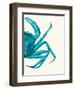 Contrasting Crab in Turquoise a-Fab Funky-Framed Art Print