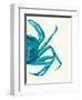 Contrasting Crab in Turquoise a-Fab Funky-Framed Art Print