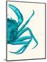 Contrasting Crab in Turquoise a-Fab Funky-Mounted Art Print