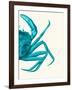 Contrasting Crab in Turquoise a-Fab Funky-Framed Art Print