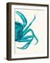 Contrasting Crab in Turquoise a-Fab Funky-Framed Art Print