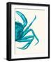 Contrasting Crab in Turquoise a-Fab Funky-Framed Art Print