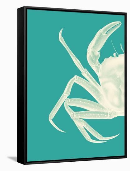 Contrasting Crab in Turquoise b-Fab Funky-Framed Stretched Canvas