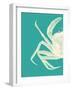 Contrasting Crab in Turquoise b-Fab Funky-Framed Art Print