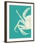 Contrasting Crab in Turquoise b-Fab Funky-Framed Art Print