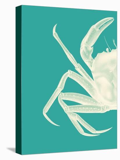 Contrasting Crab in Turquoise b-Fab Funky-Stretched Canvas