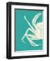 Contrasting Crab in Turquoise b-Fab Funky-Framed Art Print