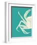 Contrasting Crab in Turquoise b-Fab Funky-Framed Art Print