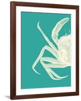 Contrasting Crab in Turquoise b-Fab Funky-Framed Art Print