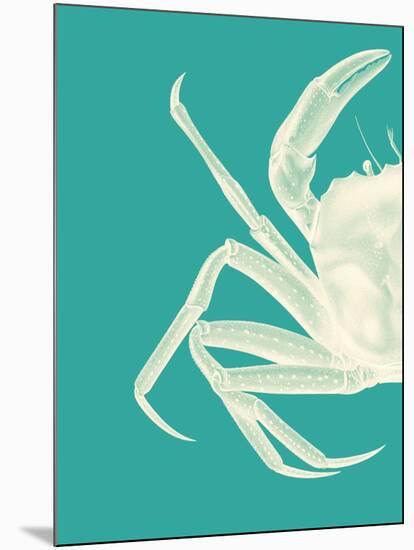 Contrasting Crab in Turquoise b-Fab Funky-Mounted Art Print