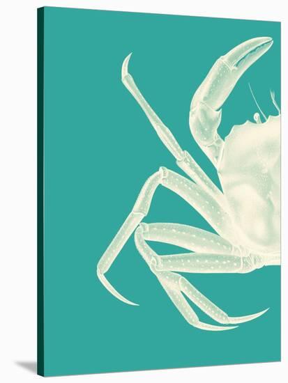Contrasting Crab in Turquoise b-Fab Funky-Stretched Canvas
