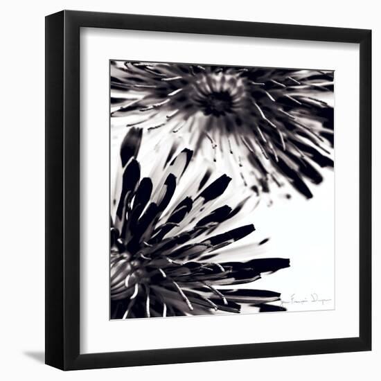 Contrastoflora II-Jean-François Dupuis-Framed Art Print