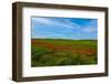 Contrasts-Marco Carmassi-Framed Photographic Print