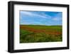 Contrasts-Marco Carmassi-Framed Photographic Print