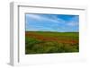 Contrasts-Marco Carmassi-Framed Photographic Print