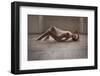 Contre Jour-Ross Oscar-Framed Photographic Print