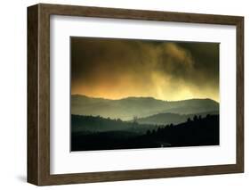 Controlled Beauty-Bob Larson-Framed Giclee Print