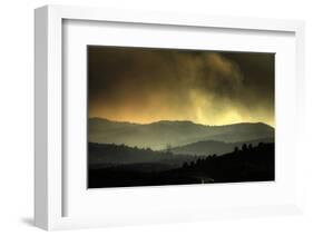 Controlled Beauty-Bob Larson-Framed Art Print