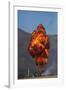 Controlled Explosions, Warbirds over Wanaka Airshow, South Island, New Zealand-David Wall-Framed Photographic Print