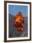 Controlled Explosions, Warbirds over Wanaka Airshow, South Island, New Zealand-David Wall-Framed Photographic Print