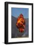 Controlled Explosions, Warbirds over Wanaka Airshow, South Island, New Zealand-David Wall-Framed Photographic Print