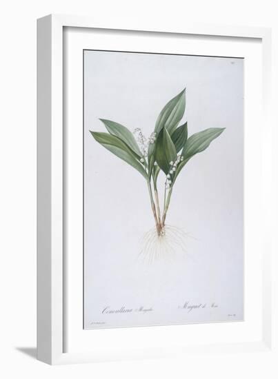 Convallaria Majalis (Lily of the Valley), 1808-Pierre Joseph Redoute-Framed Giclee Print