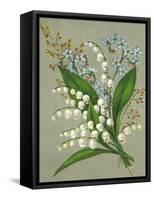 Convallaria Majalis-null-Framed Stretched Canvas