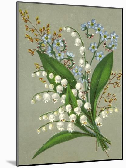 Convallaria Majalis-null-Mounted Art Print