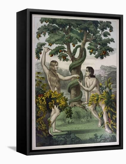 Conveniently Placed Foliage Conceals the Private Parts of Adam and Eve-null-Framed Stretched Canvas