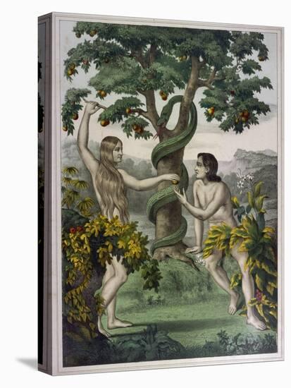 Conveniently Placed Foliage Conceals the Private Parts of Adam and Eve-null-Stretched Canvas