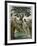 Conveniently Placed Foliage Conceals the Private Parts of Adam and Eve-null-Framed Art Print