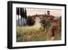 Convent Garden of San Cosimato, Vicovaro-Alberto Pisa-Framed Giclee Print