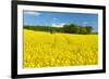 Conventional Agriculture, Farmer Spreading Pesticides on the Rape Field by Tractor-Andreas Vitting-Framed Photographic Print