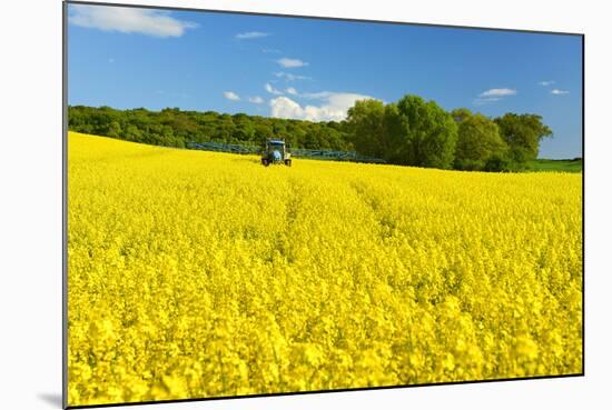 Conventional Agriculture, Farmer Spreading Pesticides on the Rape Field by Tractor-Andreas Vitting-Mounted Photographic Print