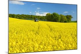 Conventional Agriculture, Farmer Spreading Pesticides on the Rape Field by Tractor-Andreas Vitting-Mounted Photographic Print