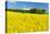 Conventional Agriculture, Farmer Spreading Pesticides on the Rape Field by Tractor-Andreas Vitting-Stretched Canvas