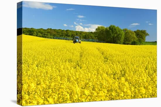 Conventional Agriculture, Farmer Spreading Pesticides on the Rape Field by Tractor-Andreas Vitting-Stretched Canvas