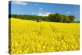 Conventional Agriculture, Farmer Spreading Pesticides on the Rape Field by Tractor-Andreas Vitting-Stretched Canvas