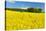 Conventional Agriculture, Farmer Spreading Pesticides on the Rape Field by Tractor-Andreas Vitting-Stretched Canvas