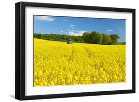 Conventional Agriculture, Farmer Spreading Pesticides on the Rape Field by Tractor-Andreas Vitting-Framed Photographic Print