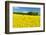 Conventional Agriculture, Farmer Spreading Pesticides on the Rape Field by Tractor-Andreas Vitting-Framed Photographic Print