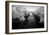 Convergance IR-John Gusky-Framed Photographic Print