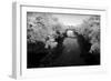 Convergance IR-John Gusky-Framed Photographic Print